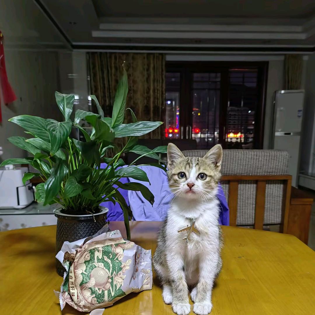 暴富💷💷发财🌳🌳🌳