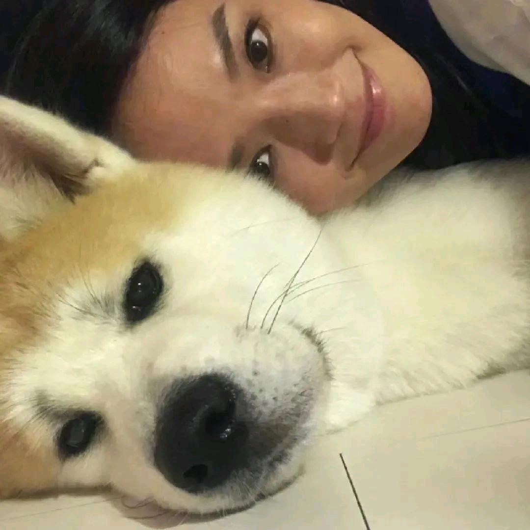 砥砺前行猪淇淋