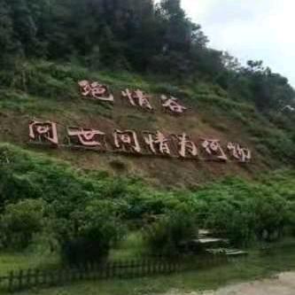 被风吹干的眼泪