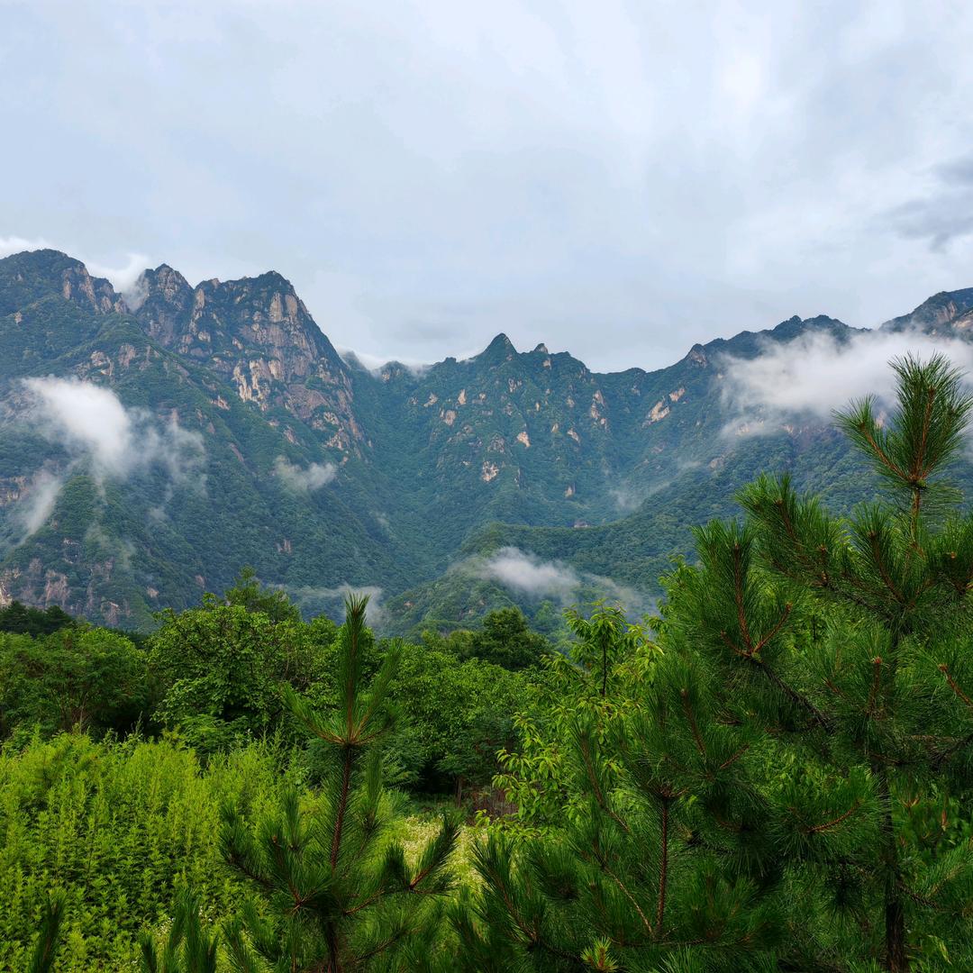 终南云端