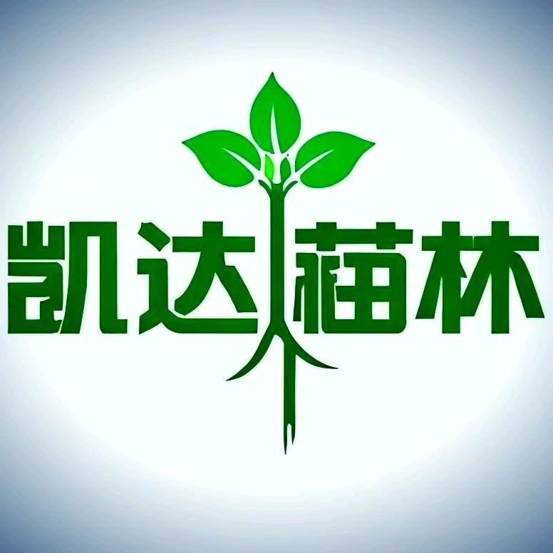 凯达苗木