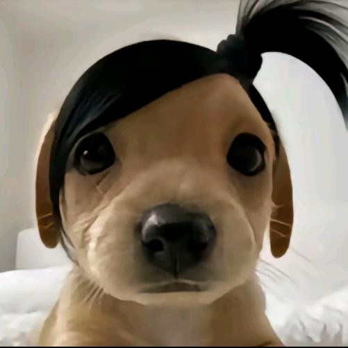 哦豁？！