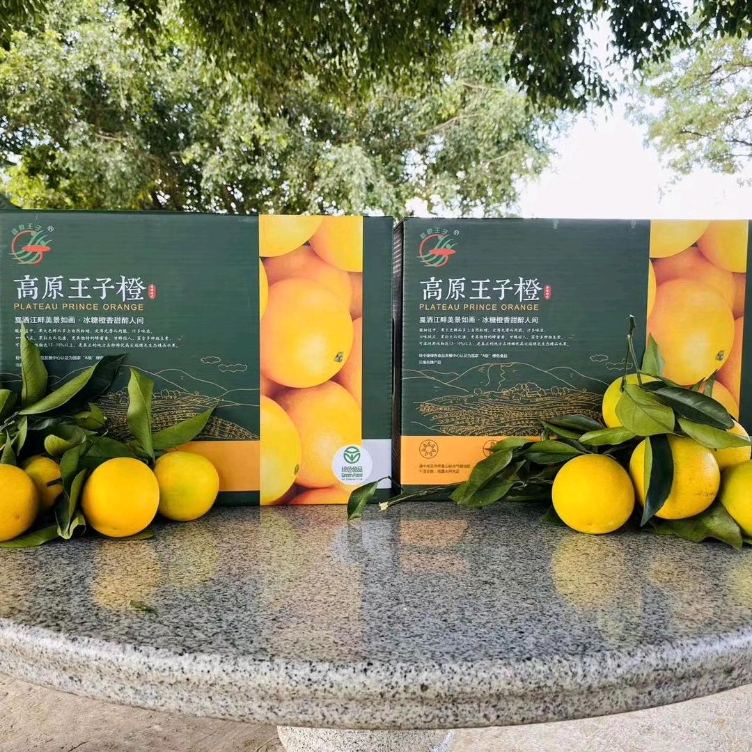 云南高原王子橙