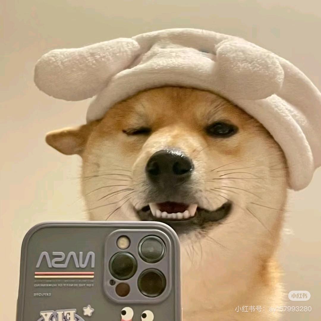 顺意
