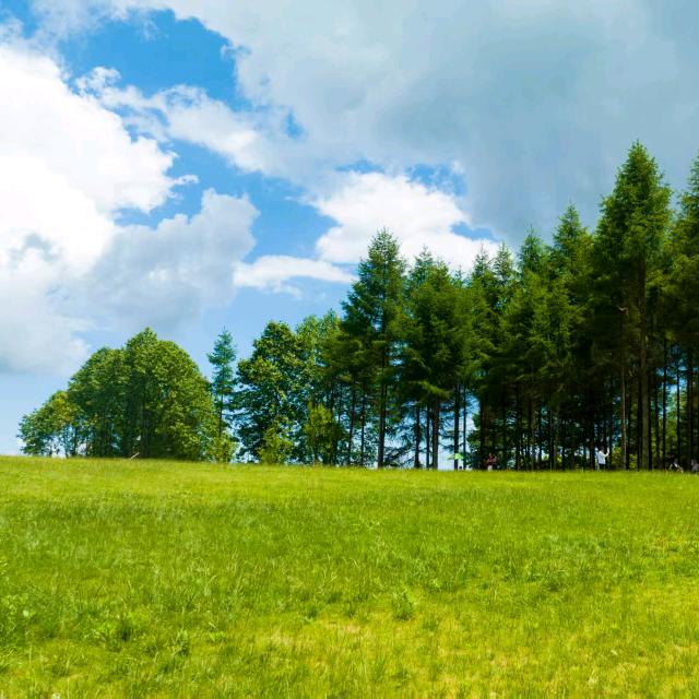 💕: ꕥ᭄好运💕: ꕥ᭄加满💕: