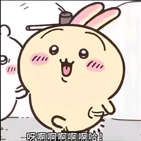 手刹精算师谋兔兔