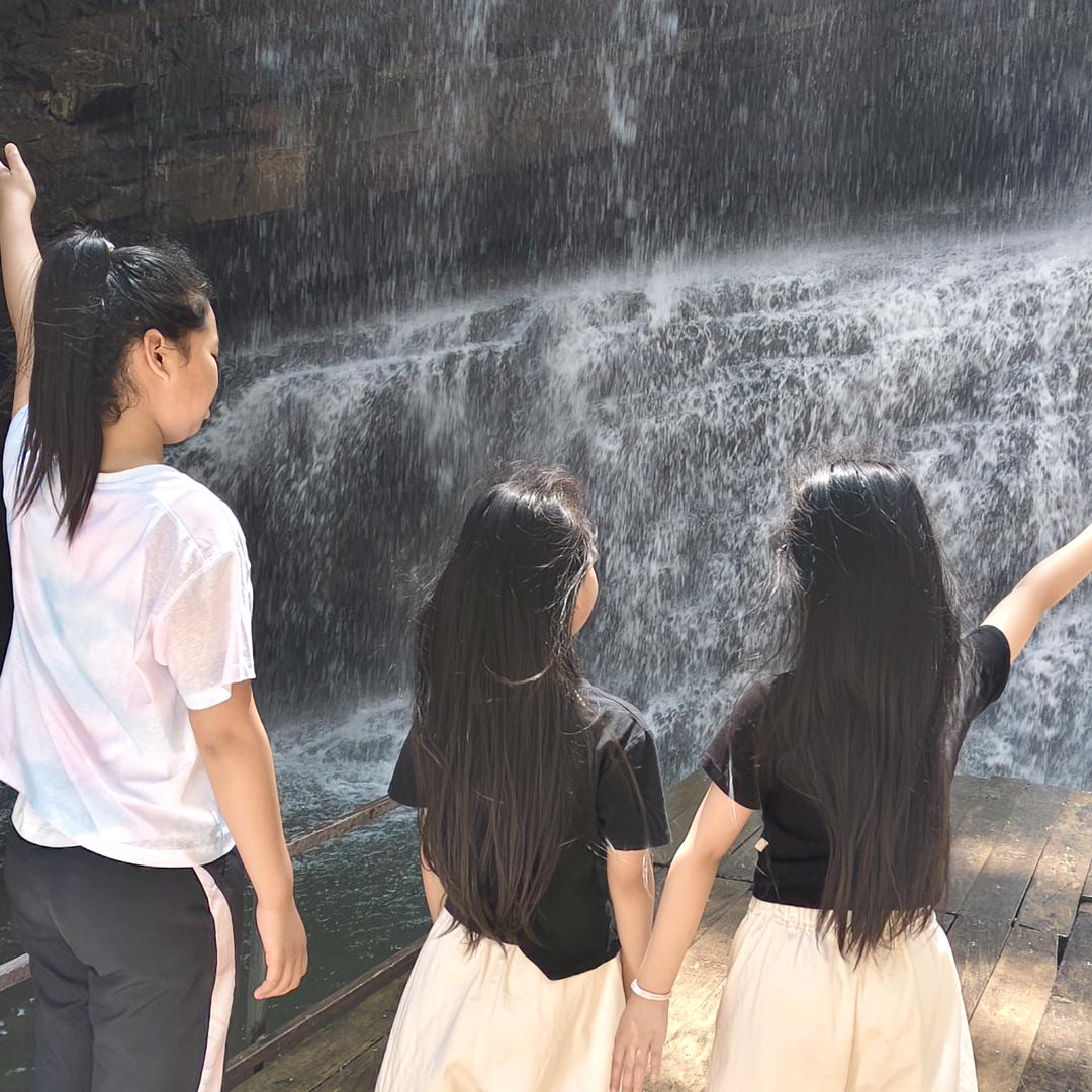 【桐_柯】