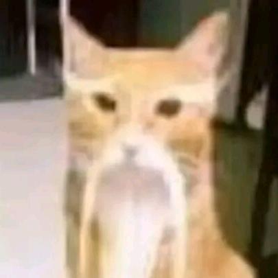 额额额不会打字