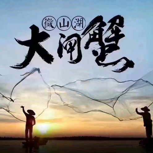 螃蟹哥