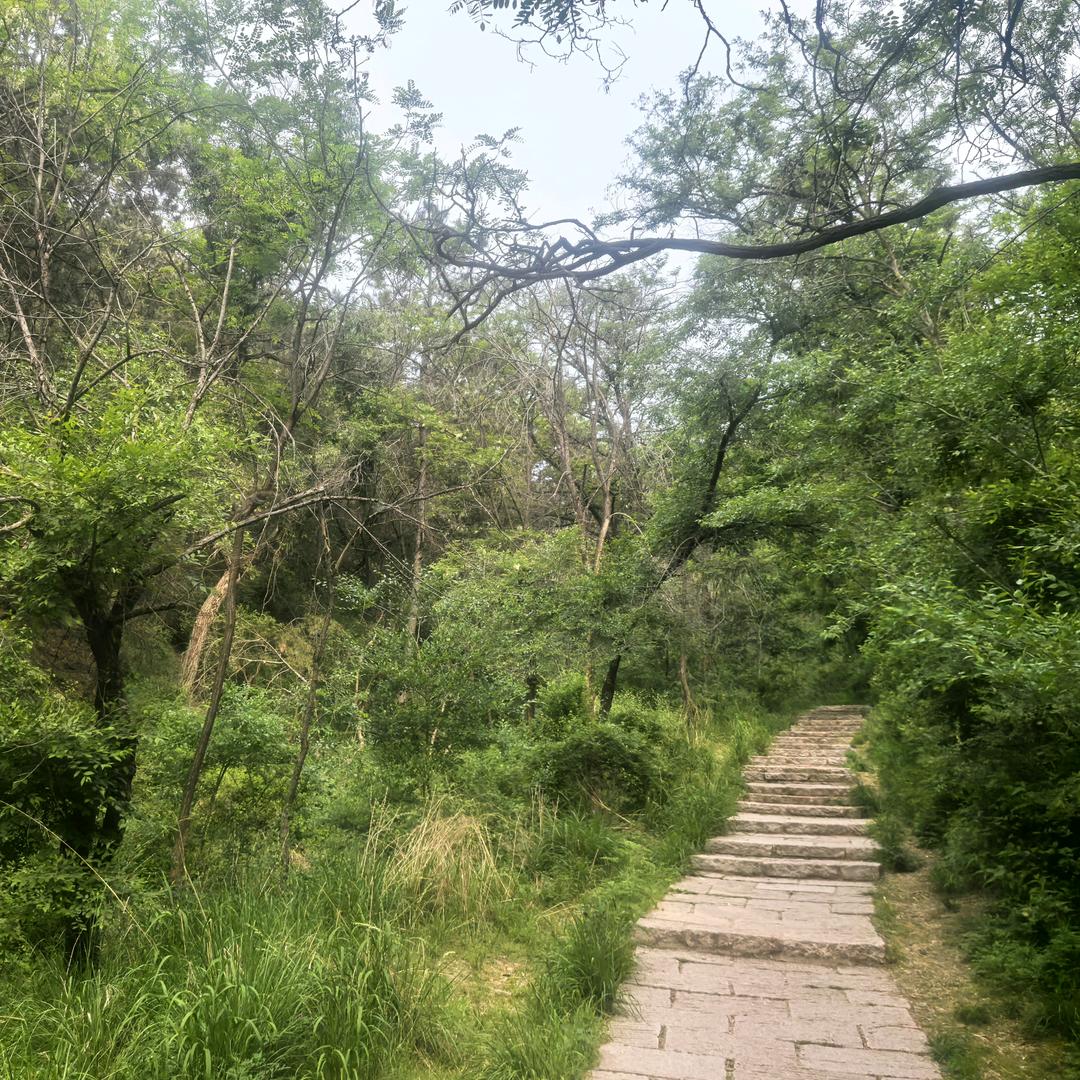 专业桥梁任总