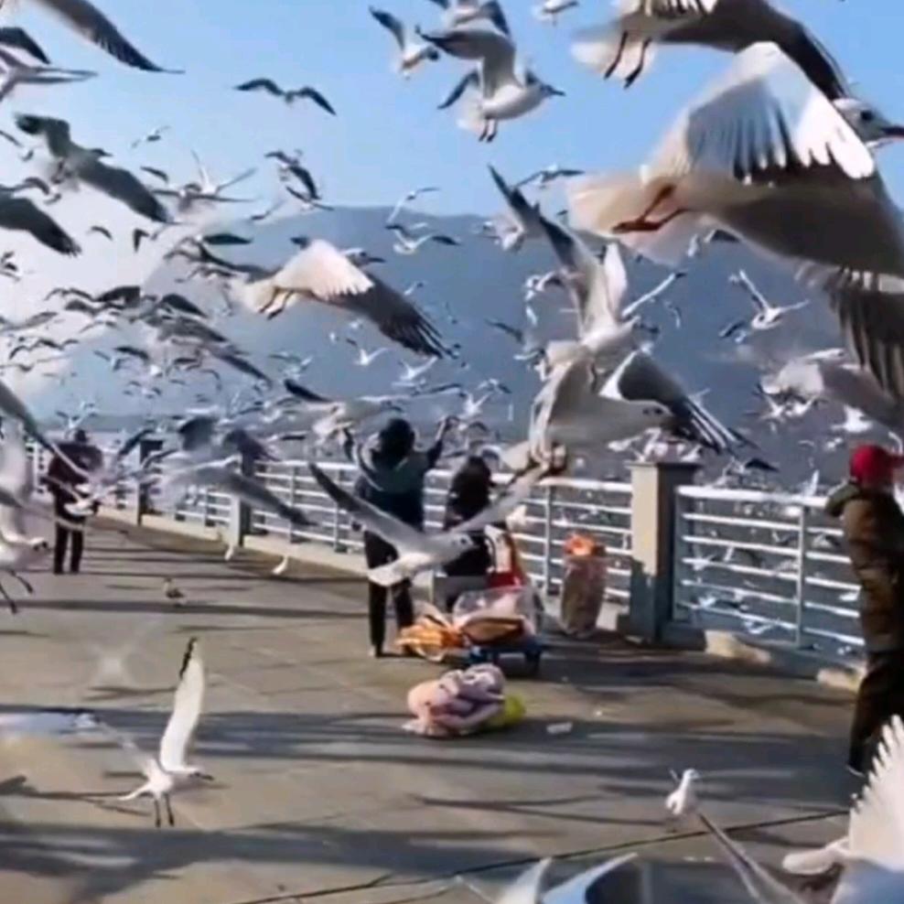 ！！