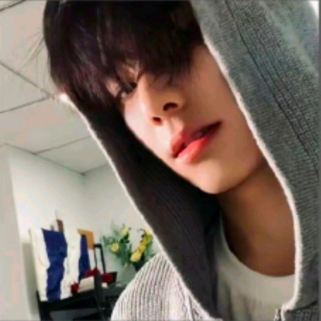 yonhu