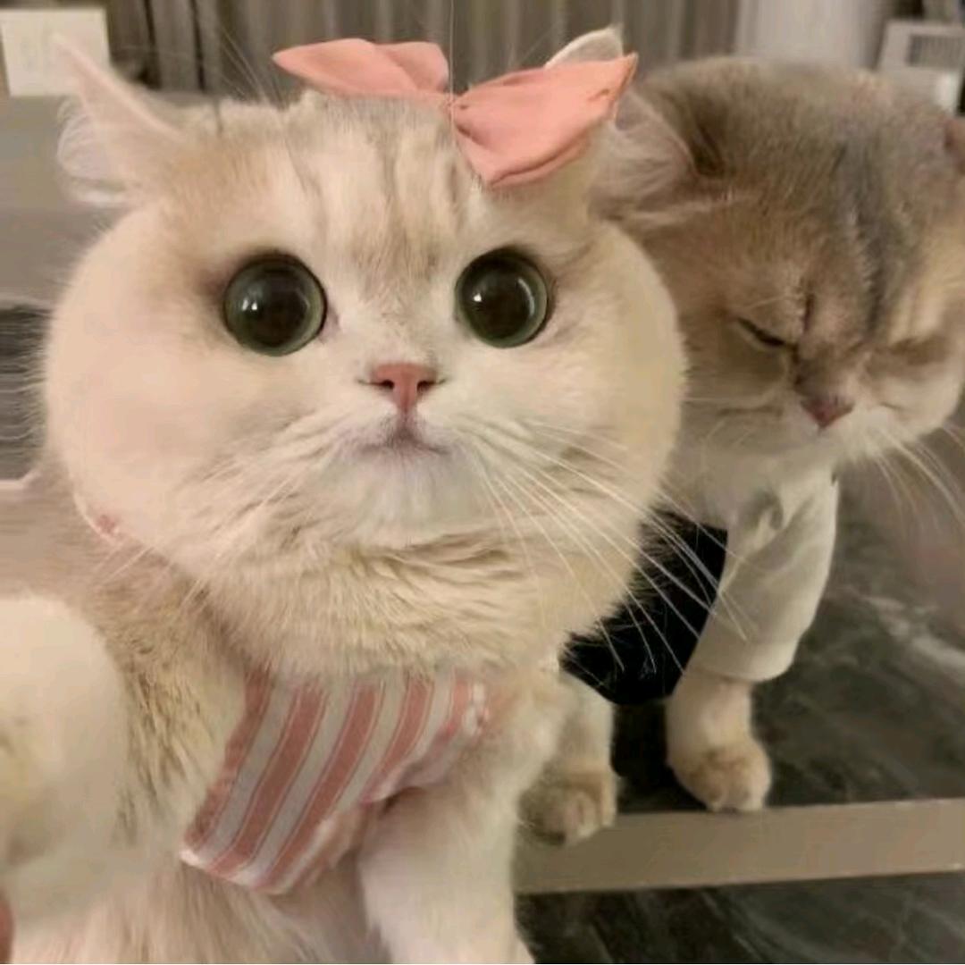 那个谁