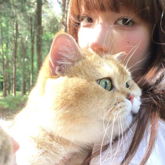 ᜊ无🍬气泡水ᜊ