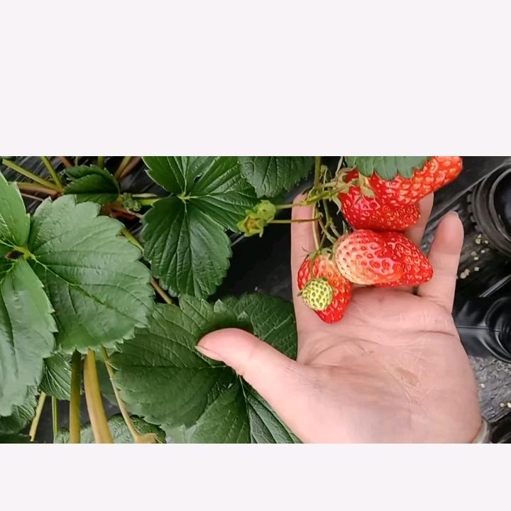 顺其自然。