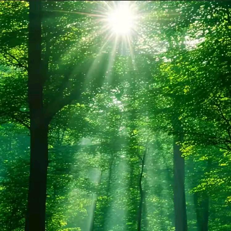 “破界心法！”