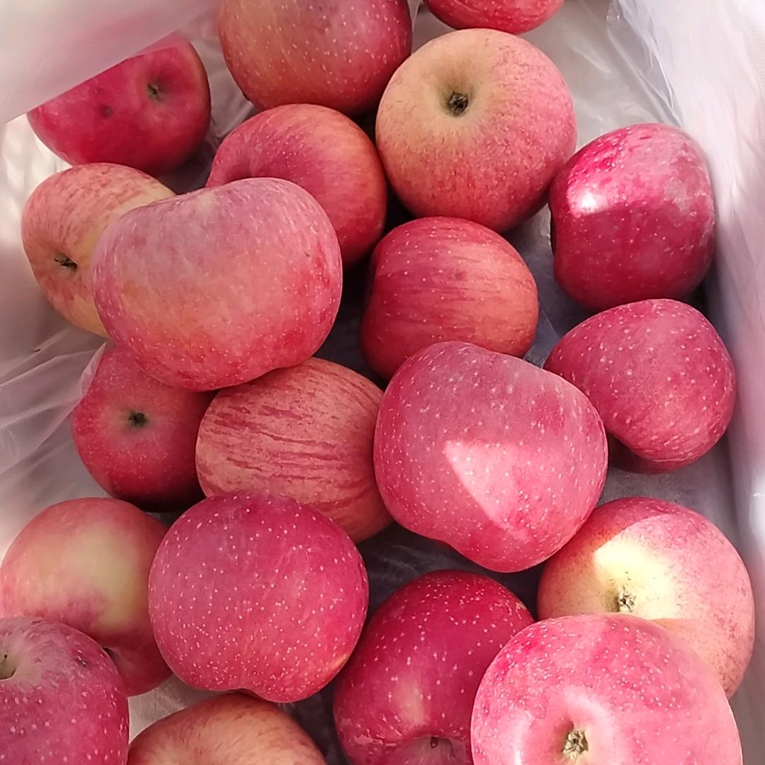 白天不懂夜的黑