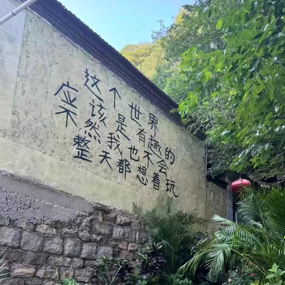 A.Top👉张先森👈