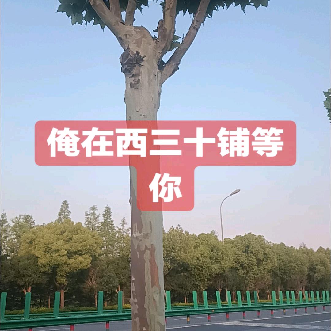 三十铺桥西废品站