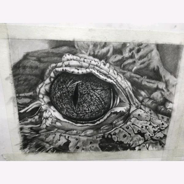 天才懒羊羊的下午