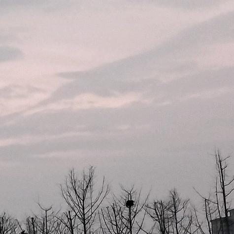 寒风吹动我痛处