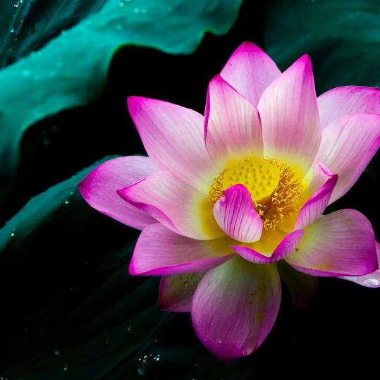 越来越好！！！