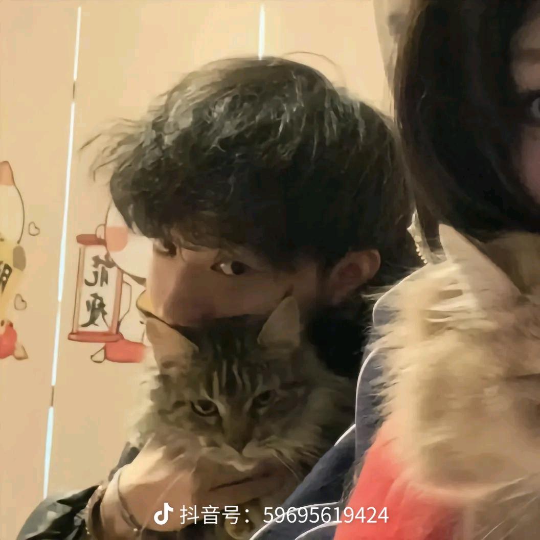 小狗不流眼泪