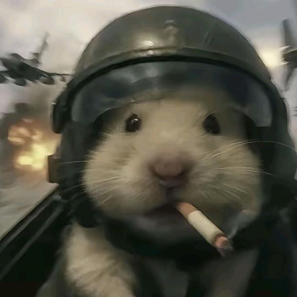 伍柒（三角洲行动）