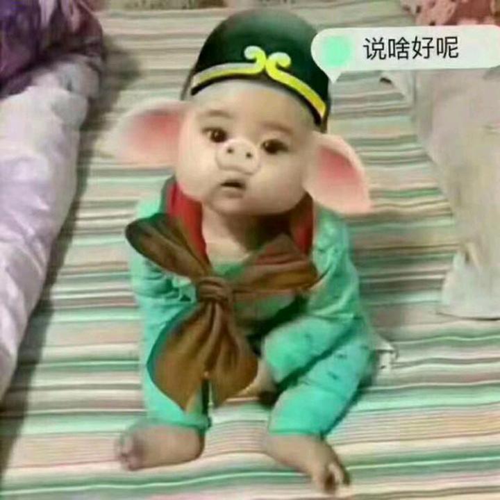 一场相遇，一生铭记