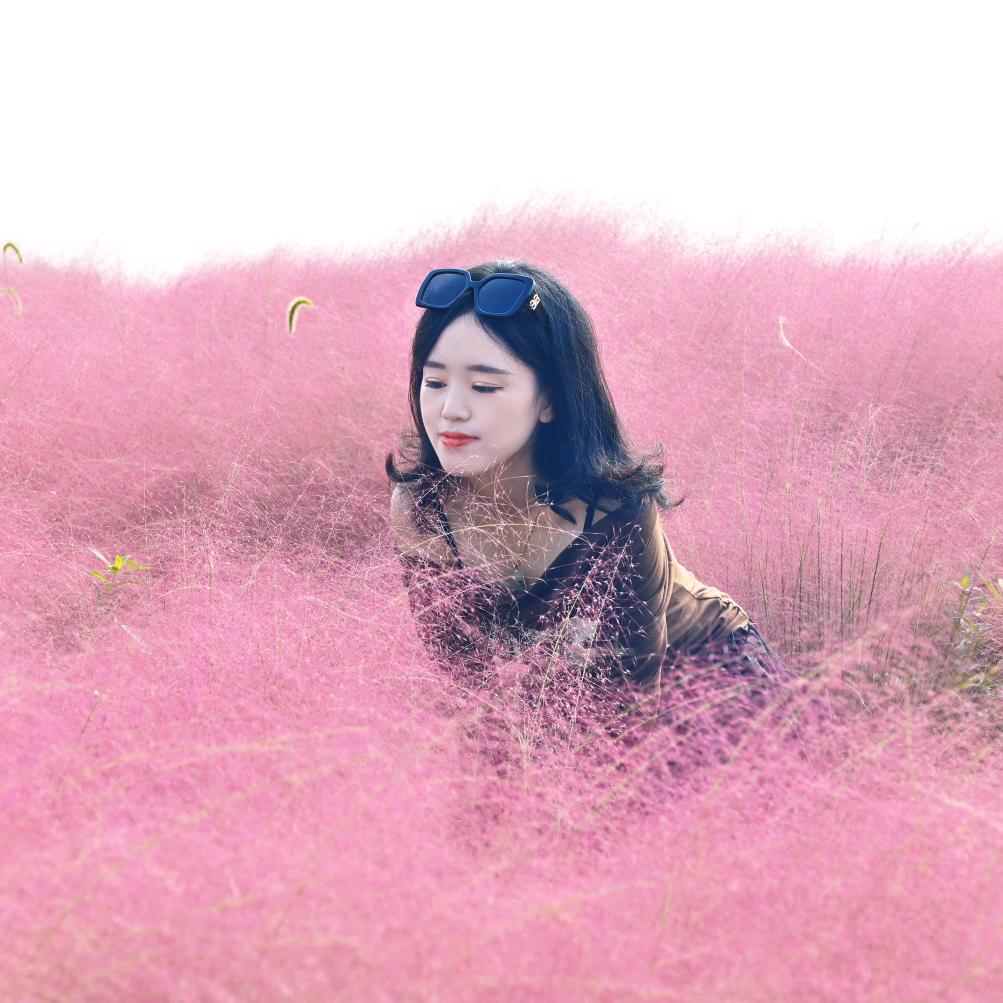 安庆注册公司找杨美丽