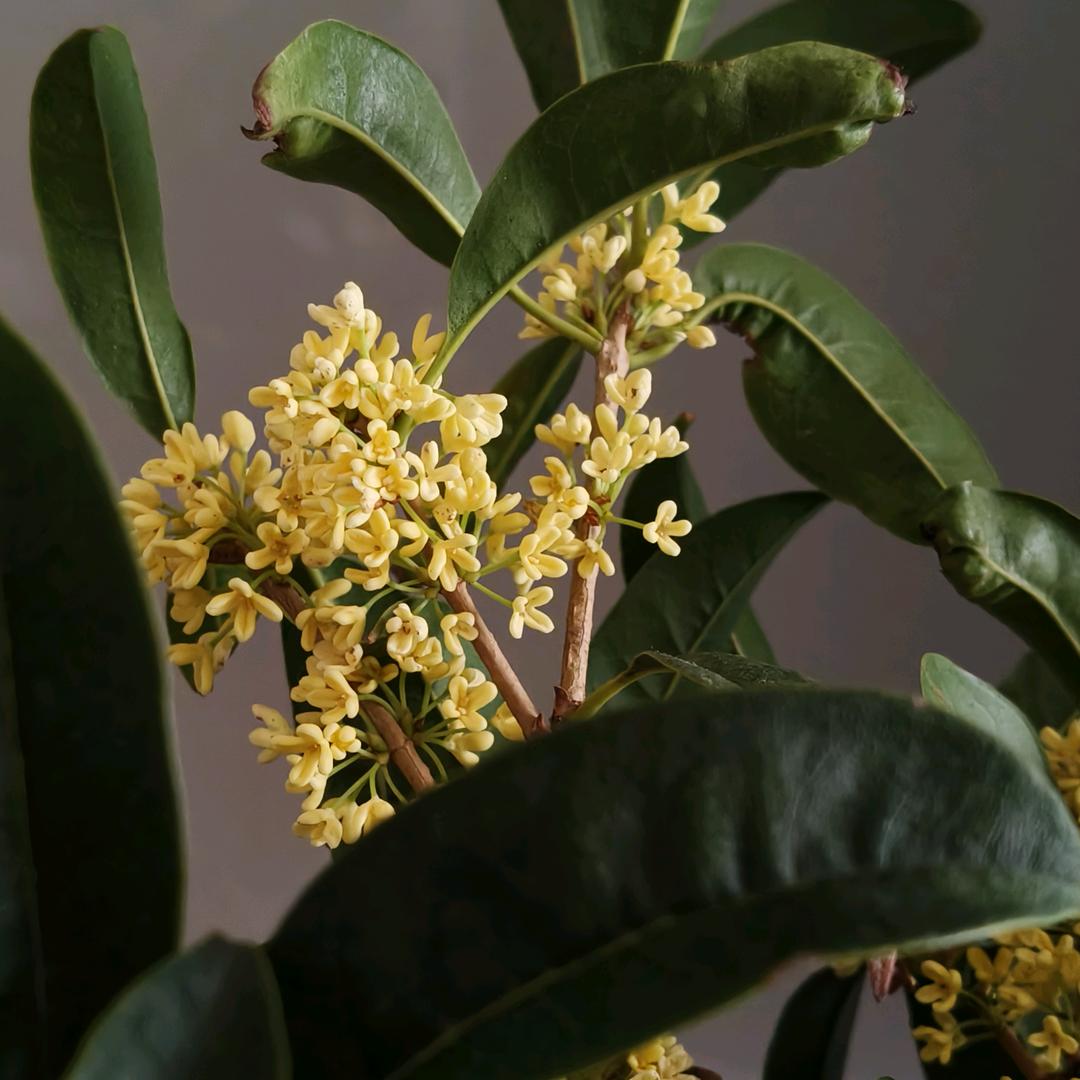 平平安安每一天