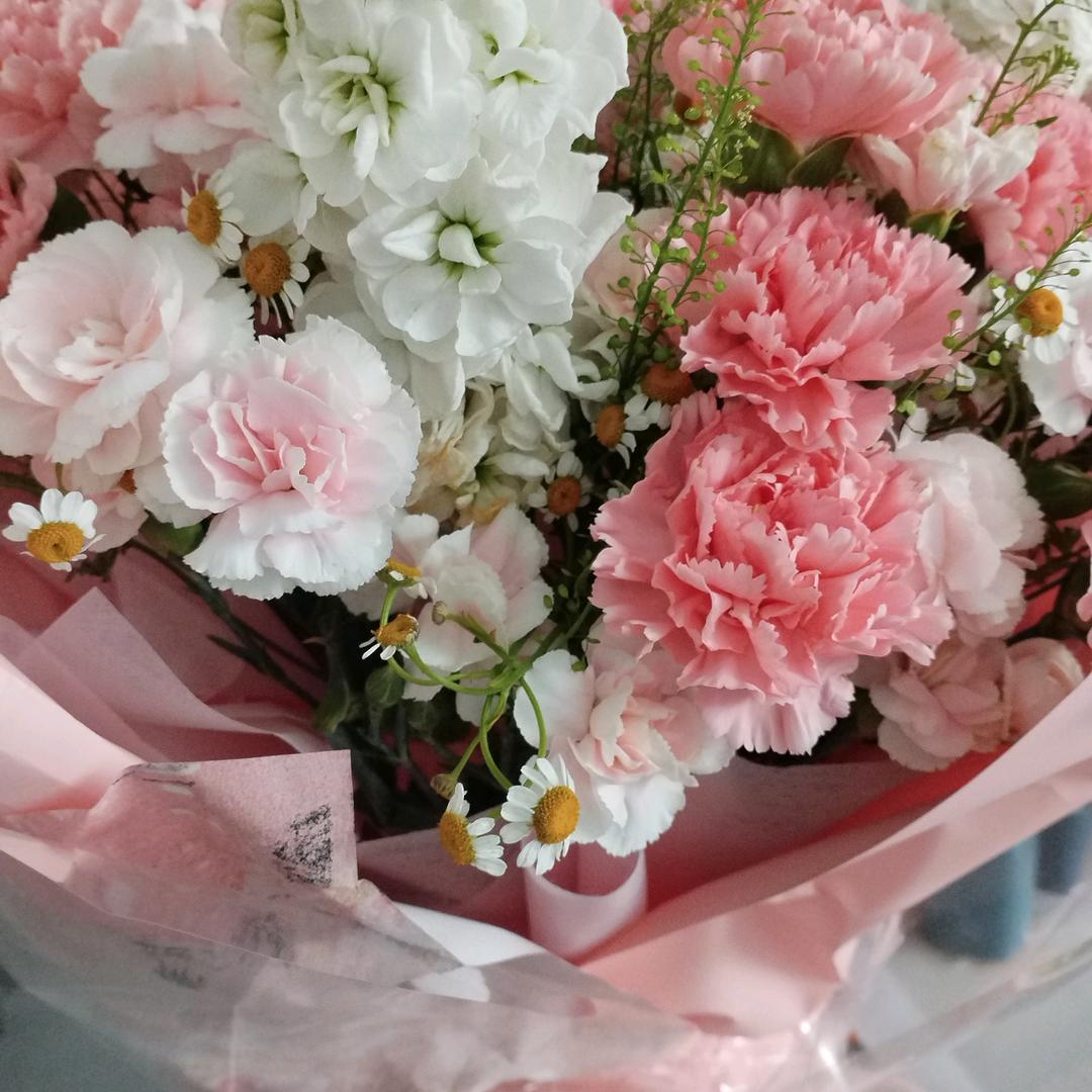 岁月静好，开心过好每一天