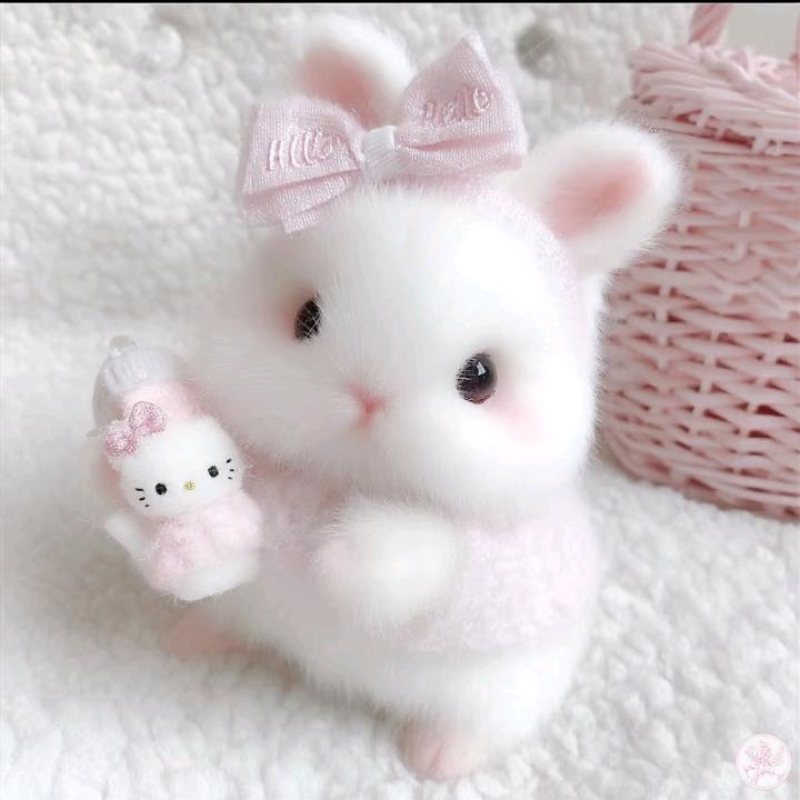 桐儿