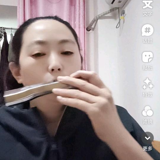 梅子口琴