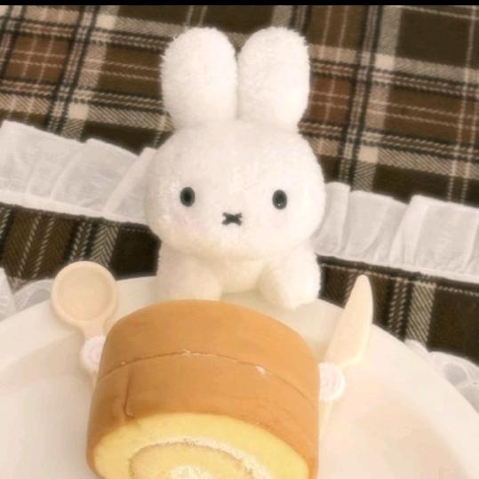 Miffy兔
