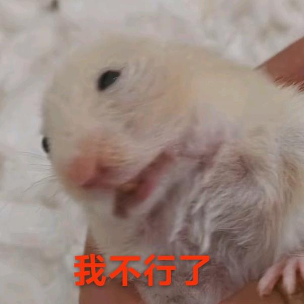 ˉ