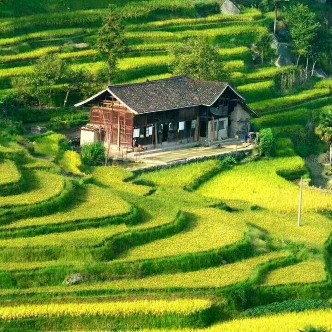 日落西山