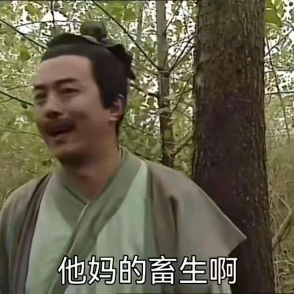 帅气逼人组合
