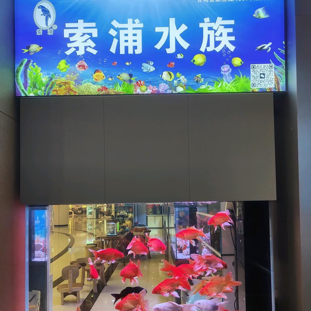 长沙鱼缸，索浦鱼缸🐟专业定制各类鱼缸