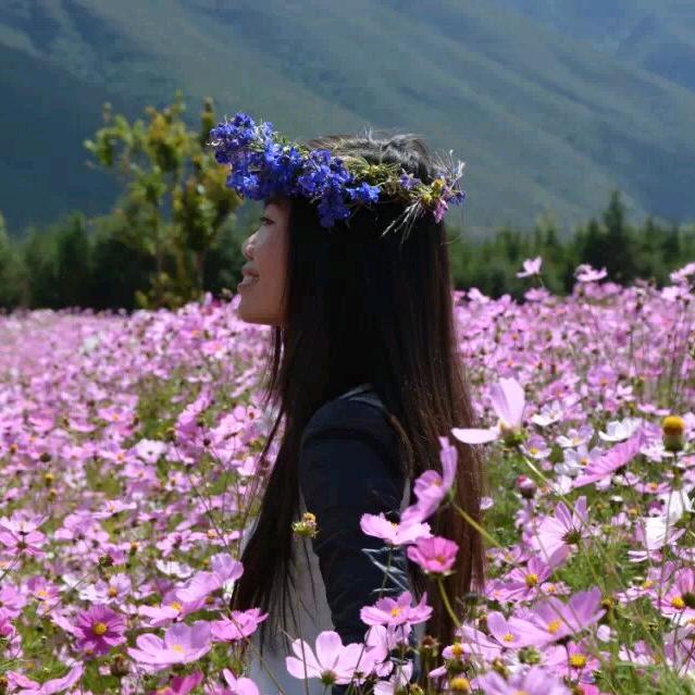 摊小妹日记