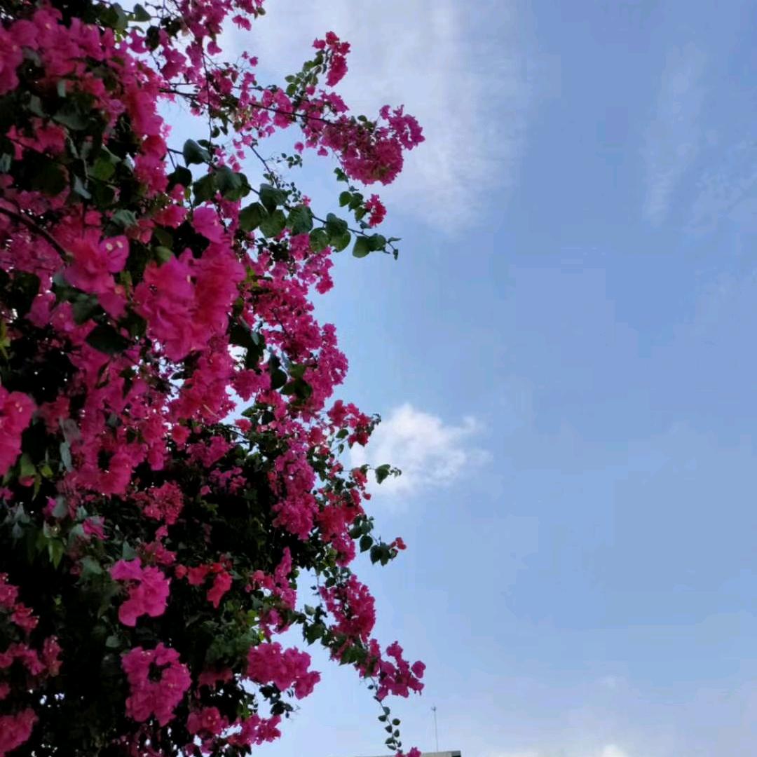 🕊༄℘⃝㞮孞࿐