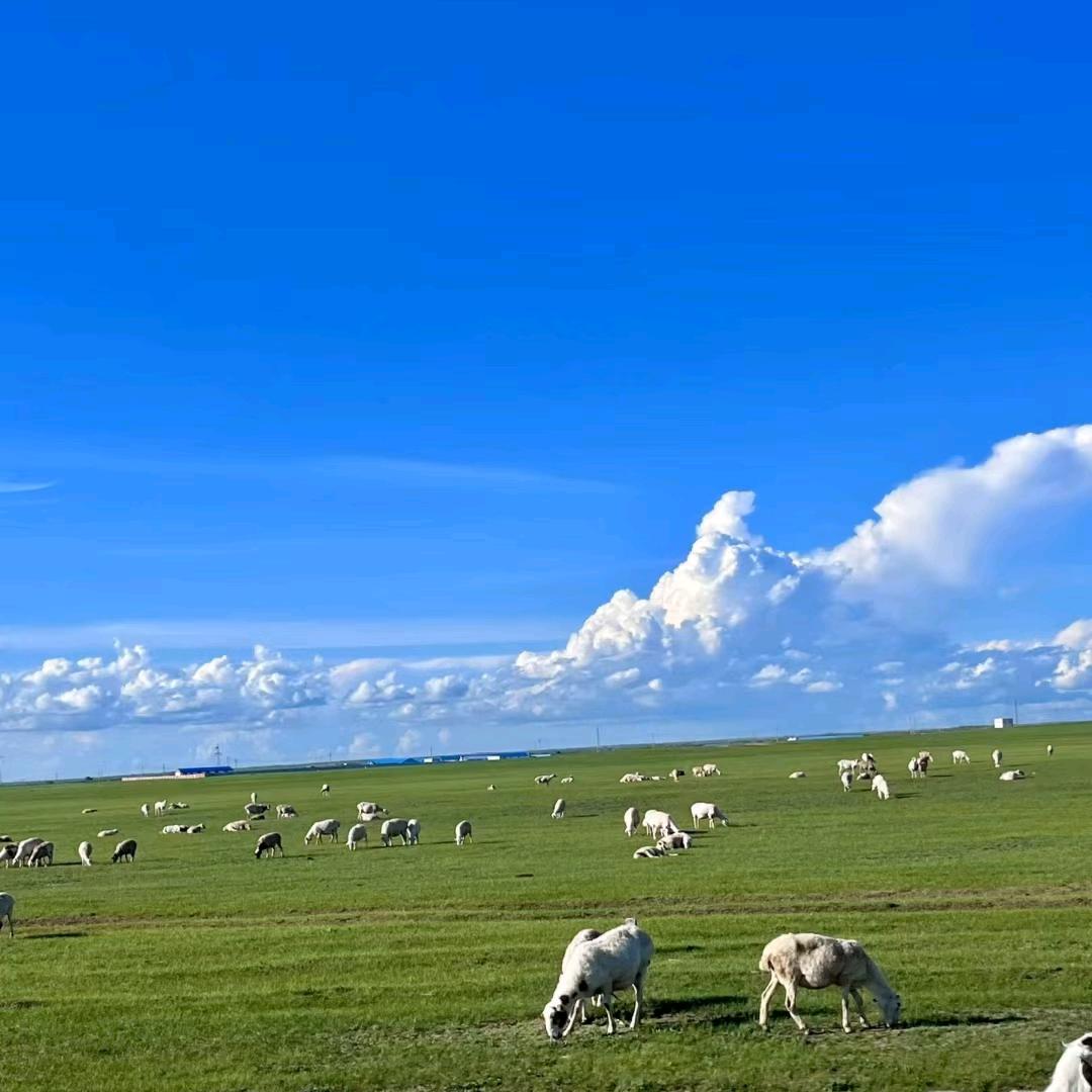 乌鲁木齐摩托车机车租赁
