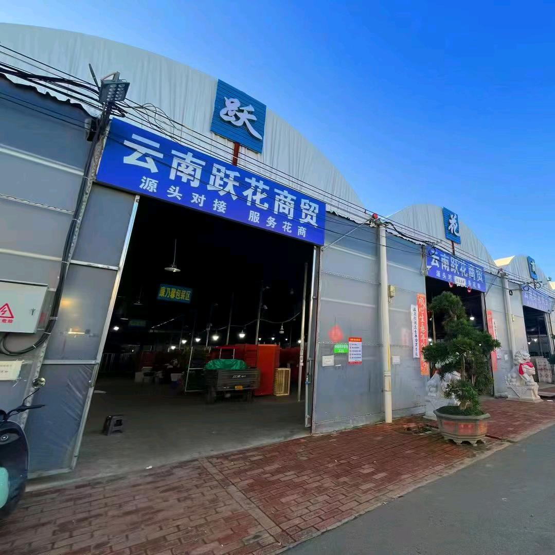 昆明鲜花基地