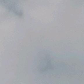 一枚小土狗🐶（垚垚）