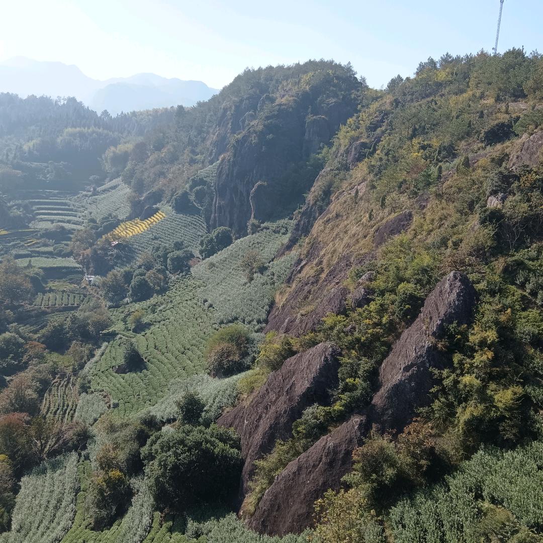 🌹唯你💖懂我心💗