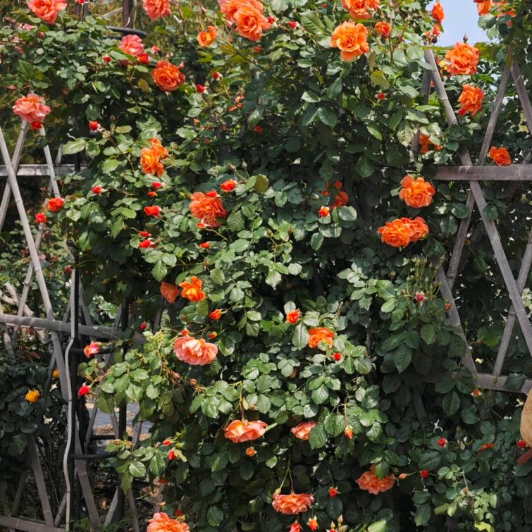 人在何处不相逢