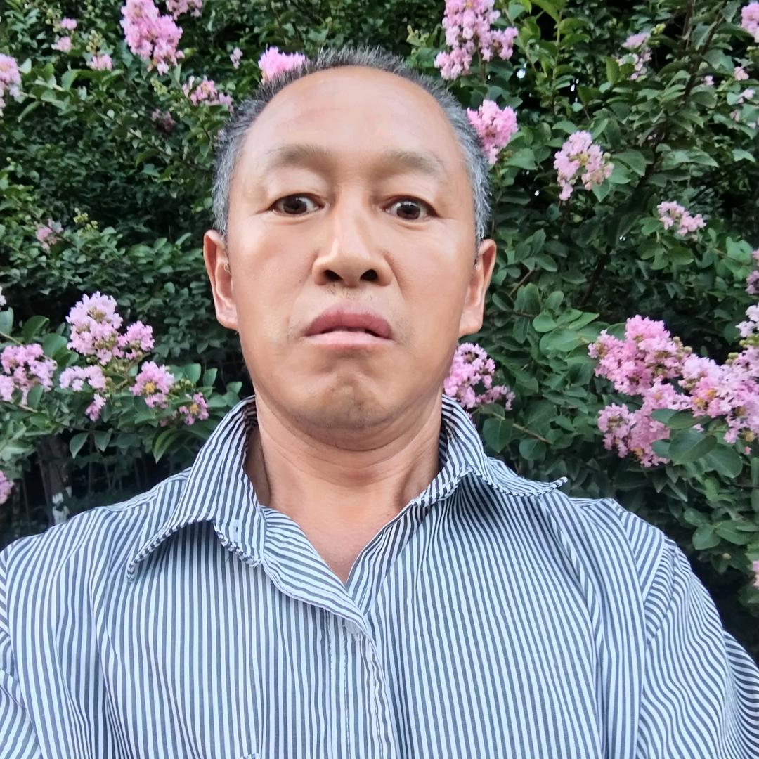 书中情