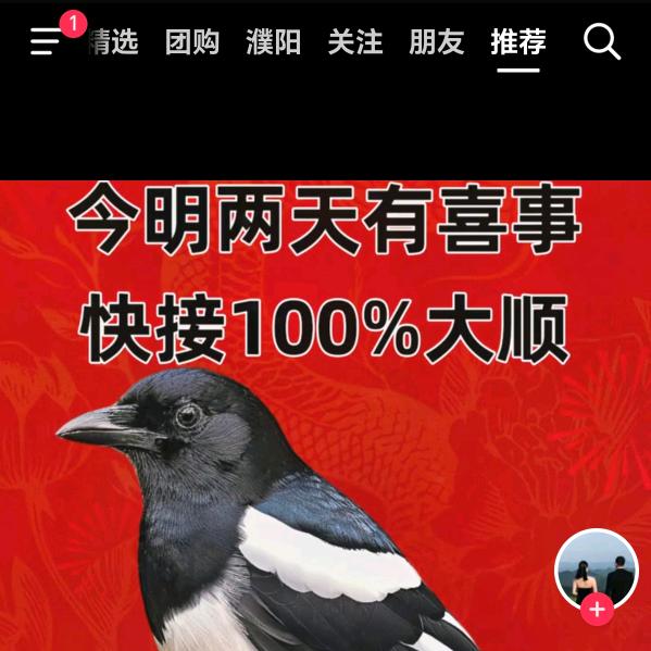 不起网名