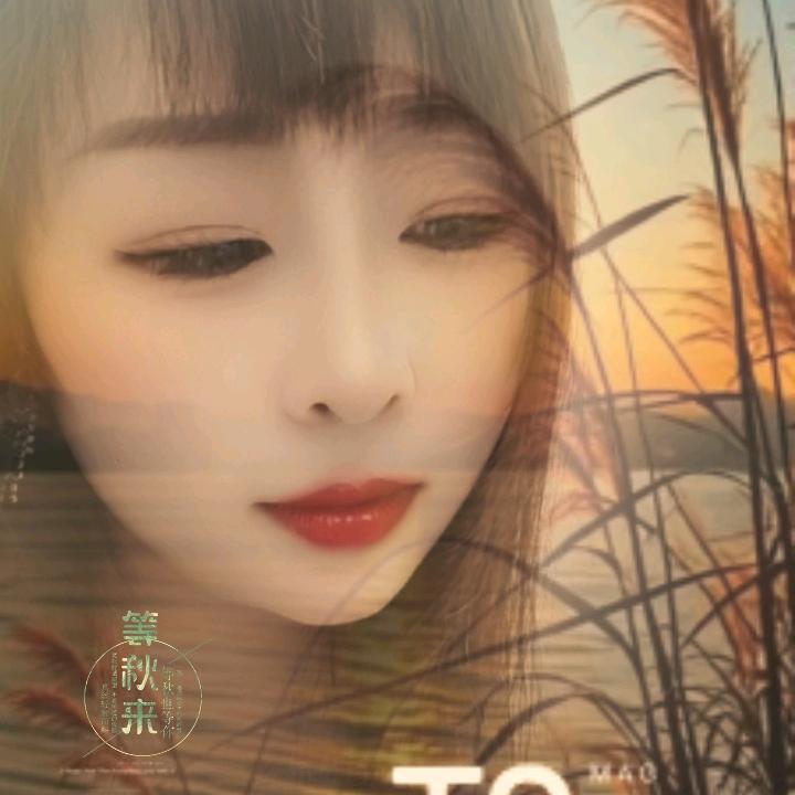 没有心就不会受伤了
