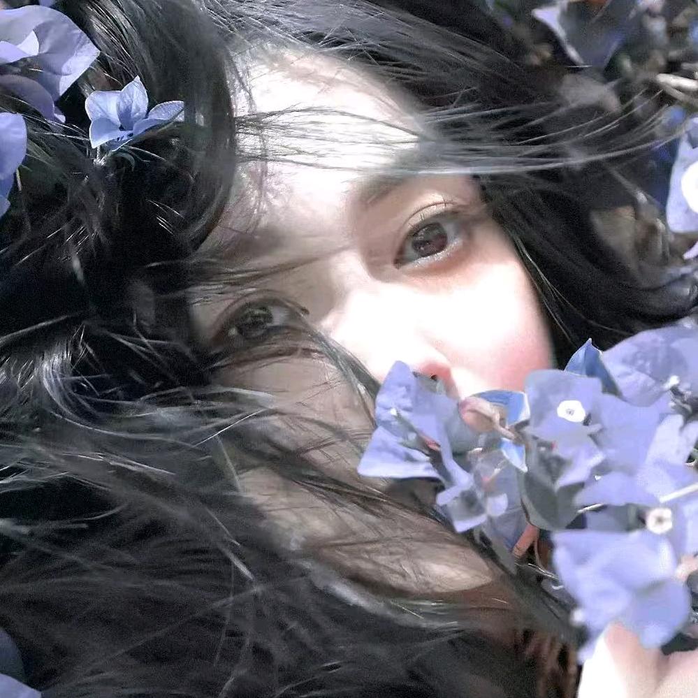 惊起白鴿
